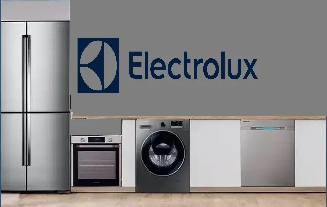 Sarıyer Electrolux servisi