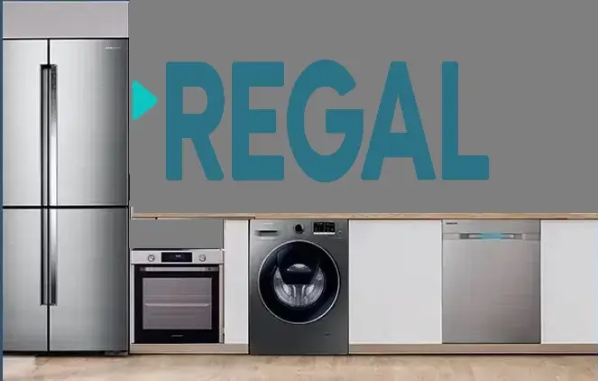 Sarıyer Regal servisi